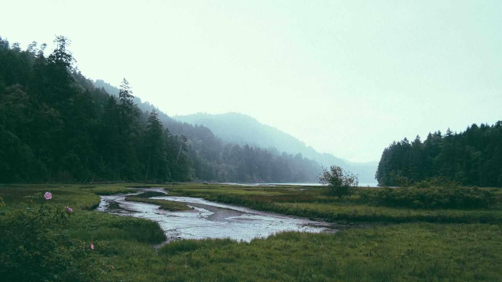A Field Guide to Durable Defaults