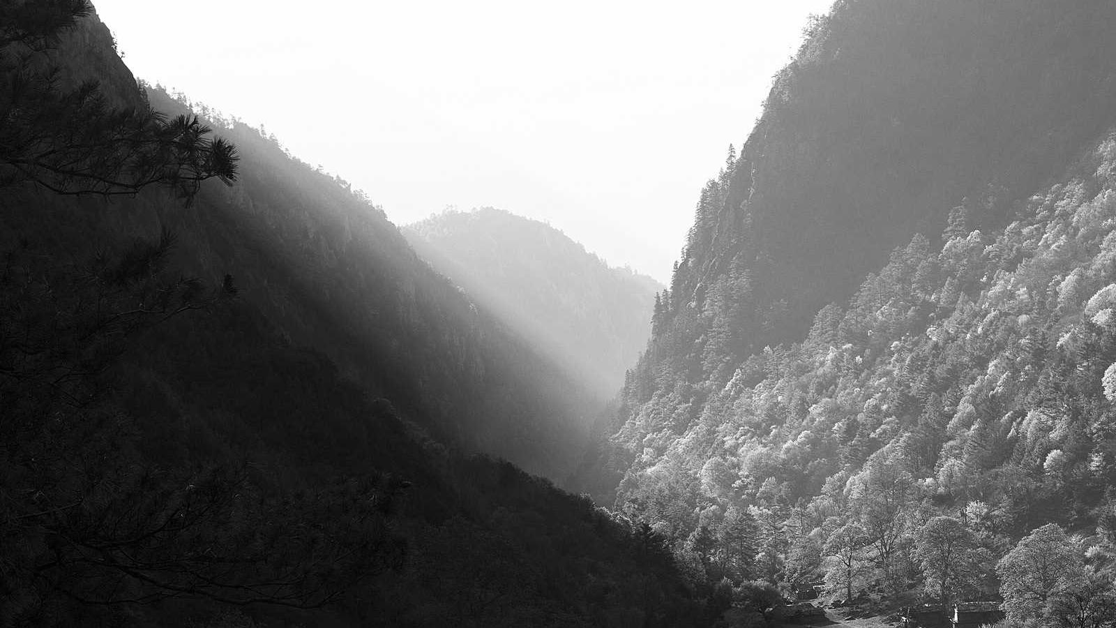 Light falling through mist into a forested mountain valley